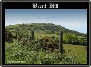 Brent Hill3